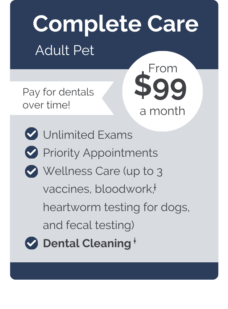 Southern Paws VIPet Plan_pricing_Complete_Modern